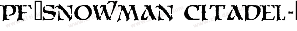 pf_snowman citadel字体转换